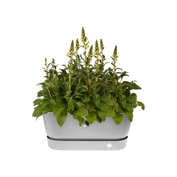 greenville pflanzgefäß 80cm rollen living beton